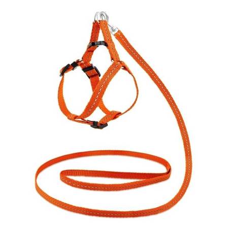 Saival Комплект светоотражающий для собак Рефлекс (поводок + шлейка), оранжевый – интернет-магазин Ле’Муррр